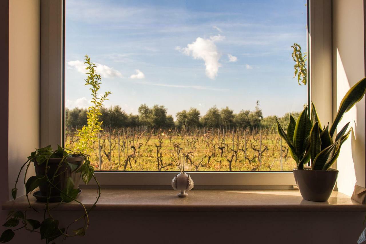 Tenuta Vigna Del Noce Corato Exteriör bild